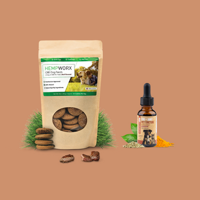 Best CBD for Pets